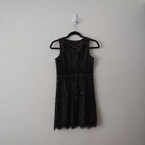 Ann Taylor LOFT Petites Sleeveless Lace Dress - Picture 4 of 5